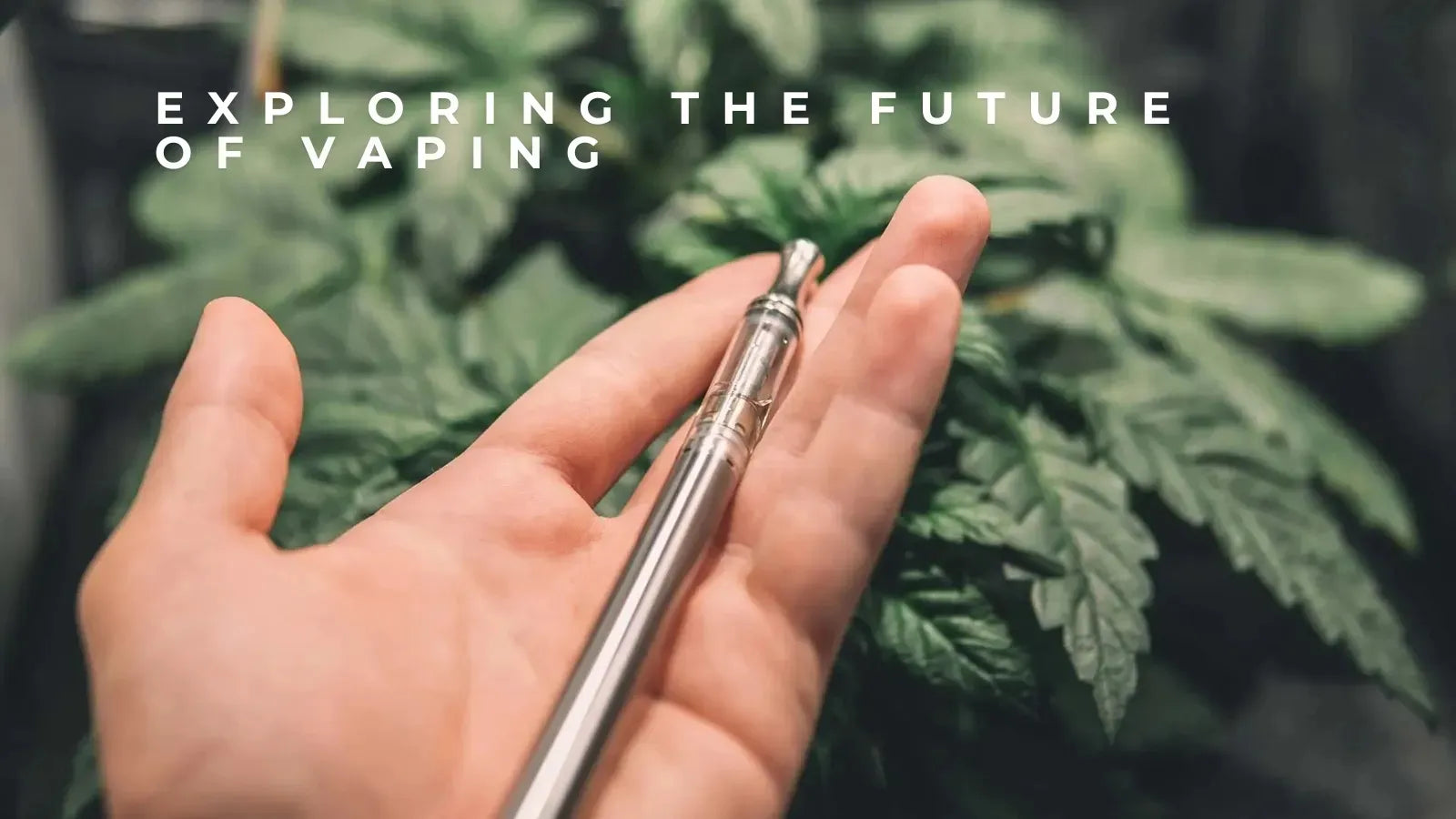 Exploring the Future of Vaping: Innovation, Customization, and Wellness